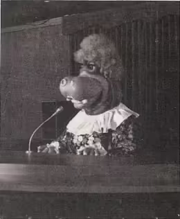 Western Foodservice (1979)