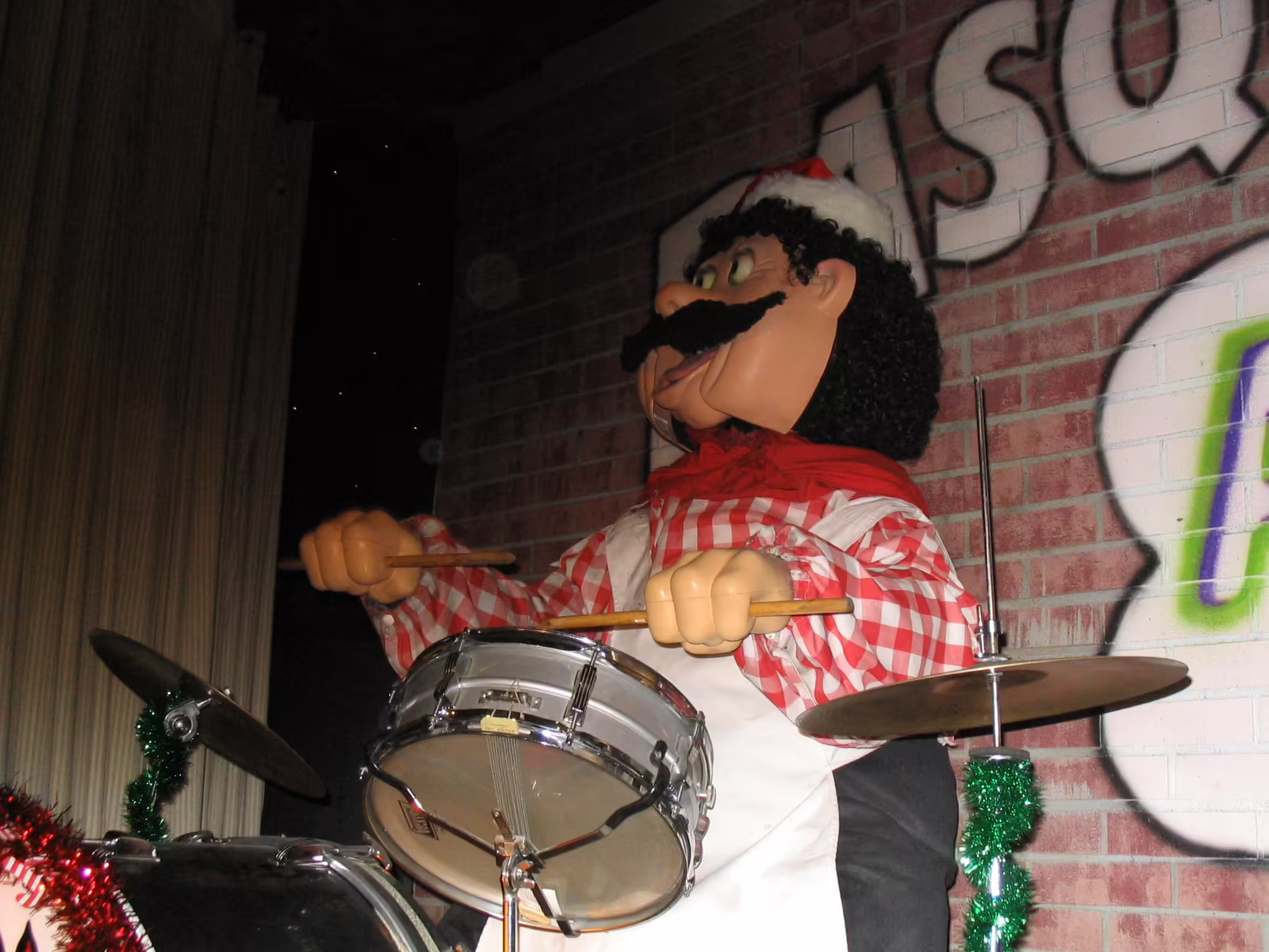 Pasqually in Christmas attire (December 2005)