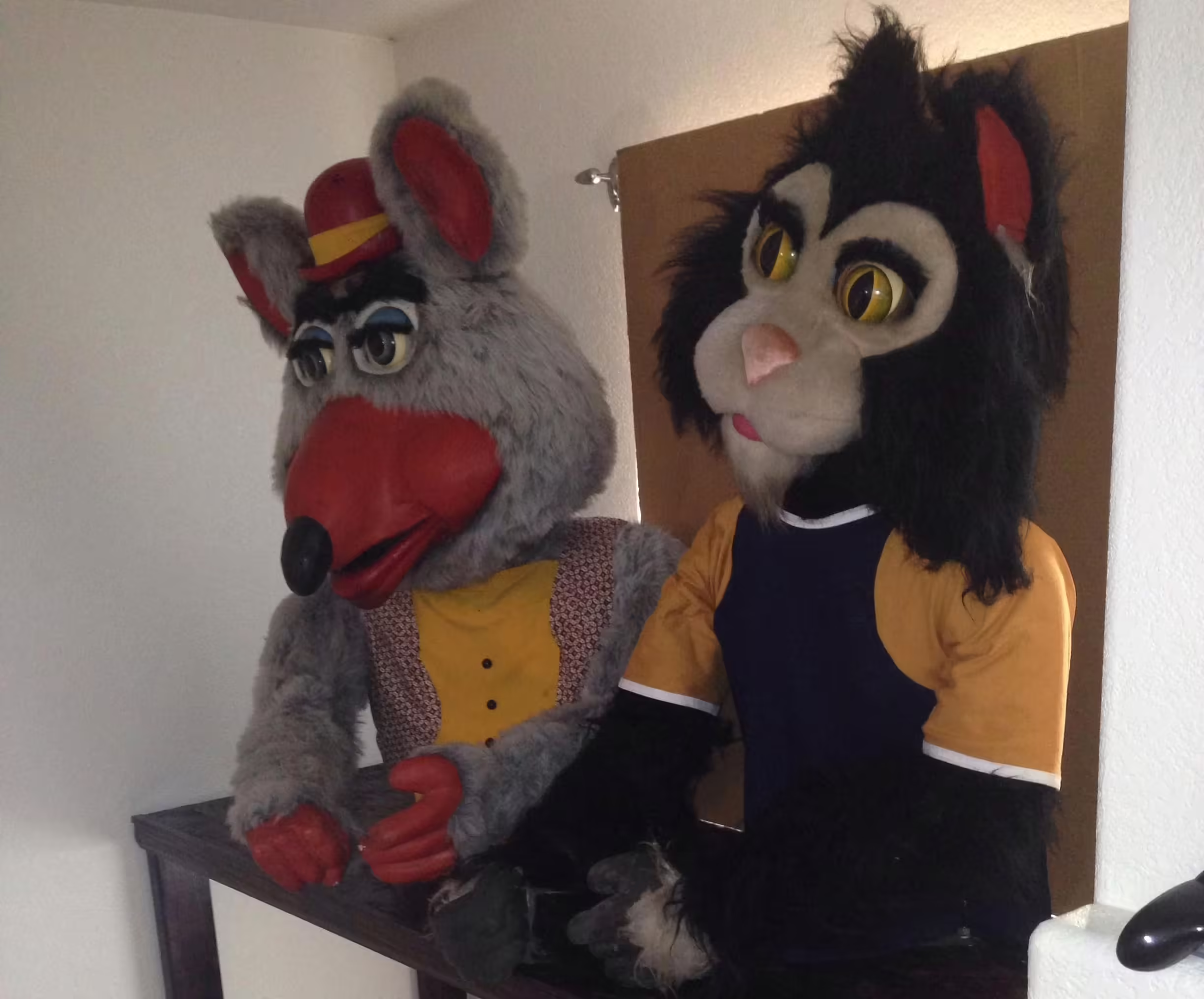 Chuck E. upon arrival in Travis Schafer's collection, 2012