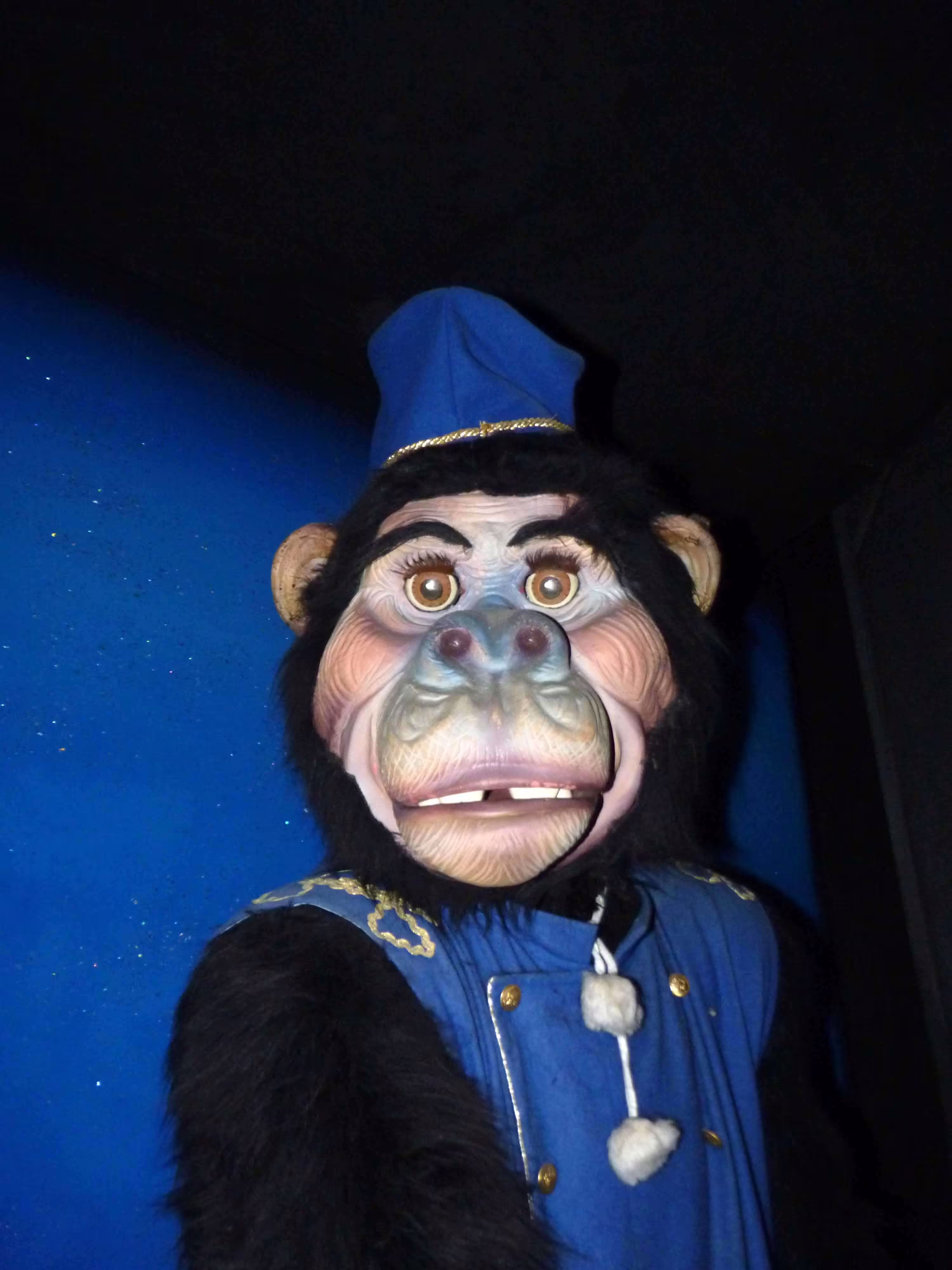 Edenlandia Western Monkey on Washboard (Post-Closure)