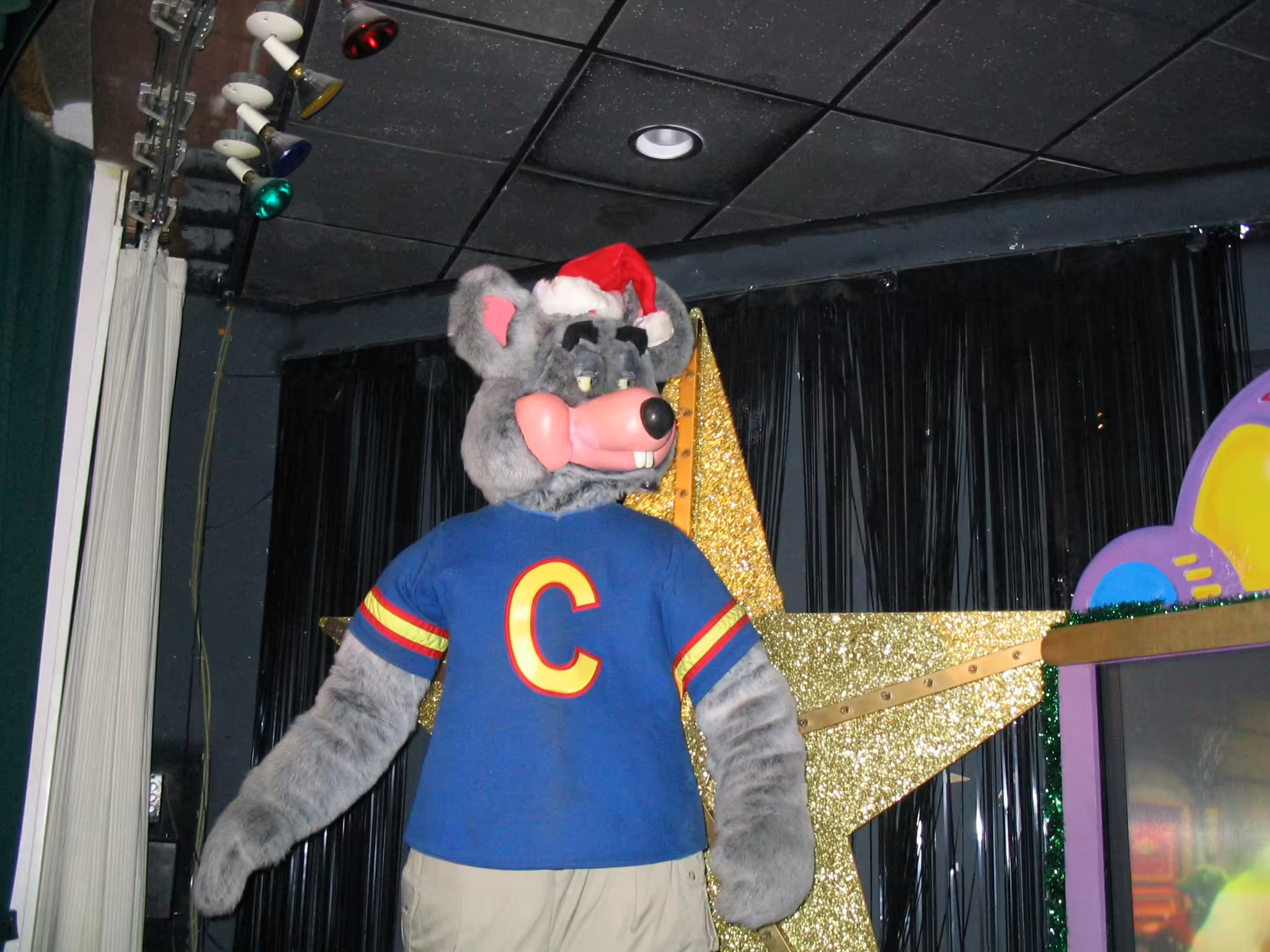 Chuck in Christmas attire (December 2005)