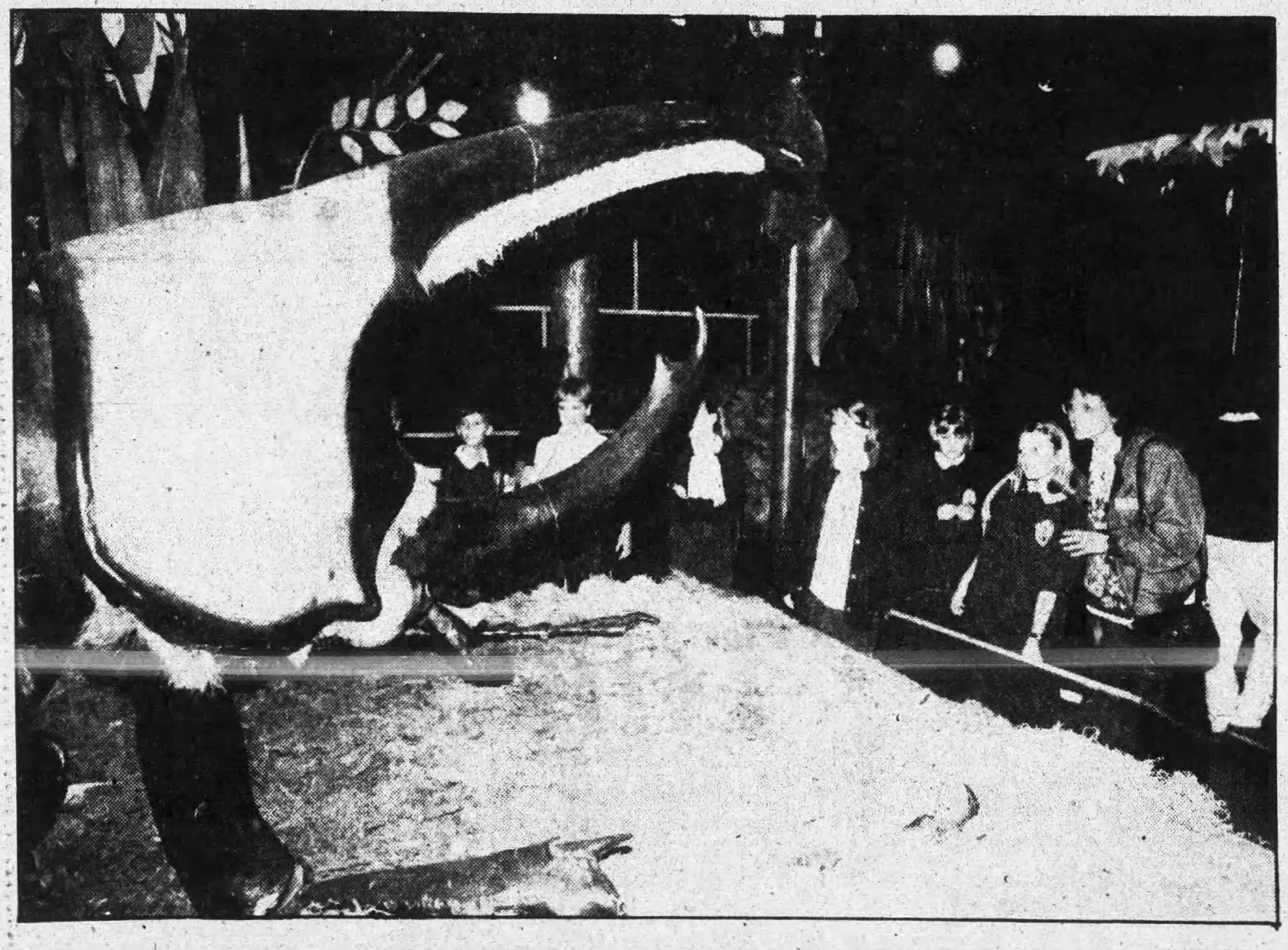 Students from St. Mary's School look up at a giant Unicorn Beetle