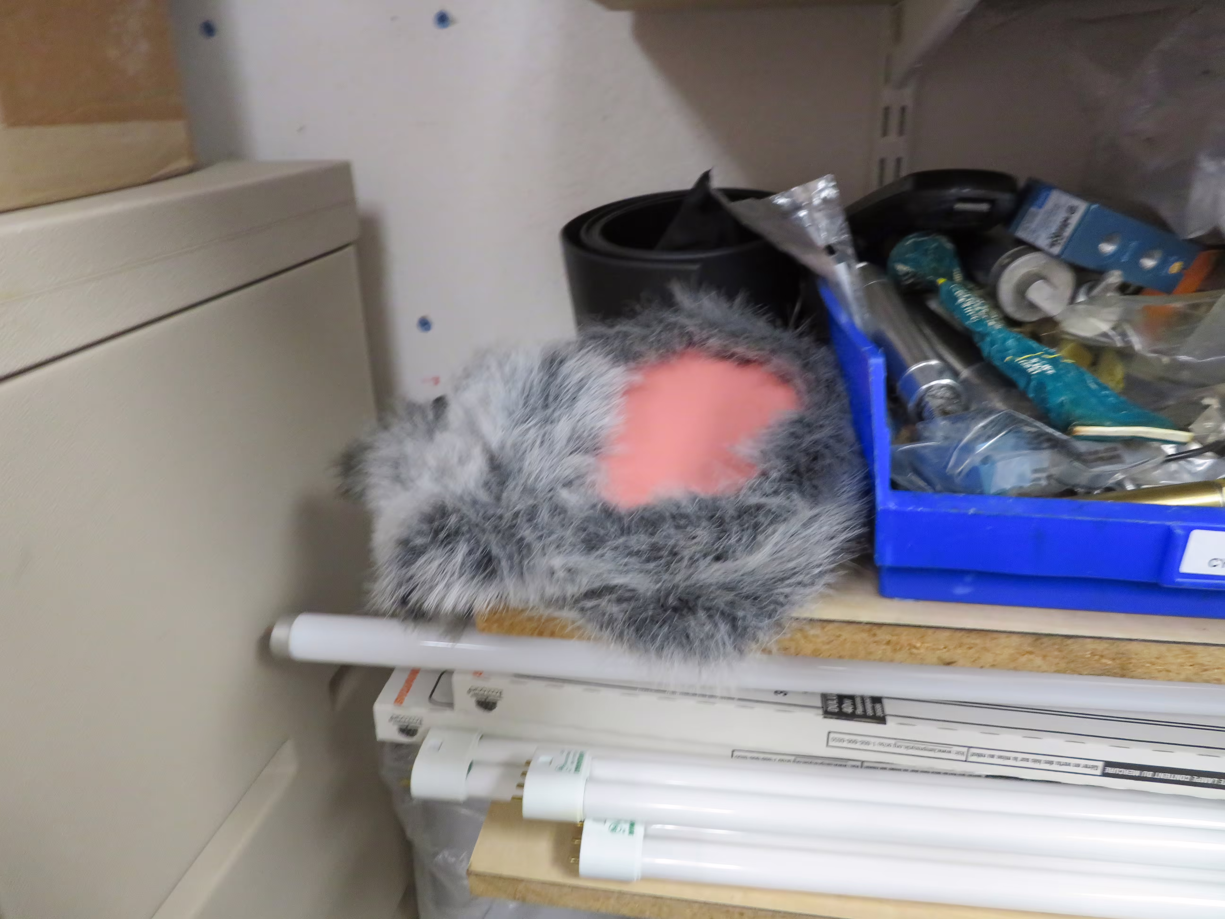 Spare Chuck Ear (September 22, 2019)