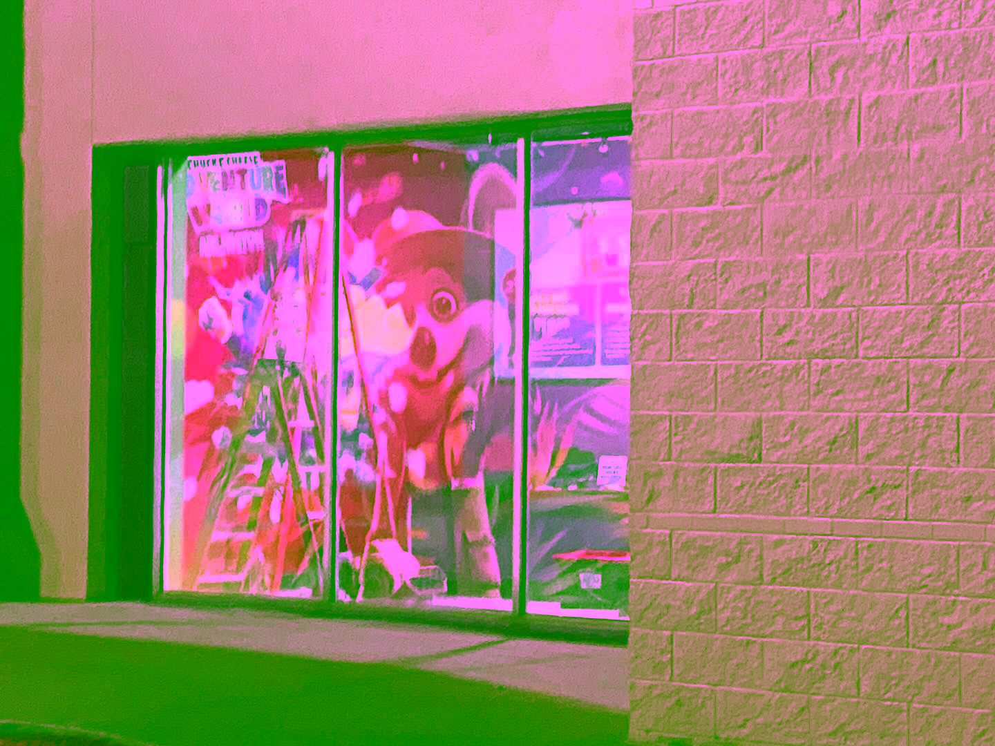 Adventure World interior during construction.