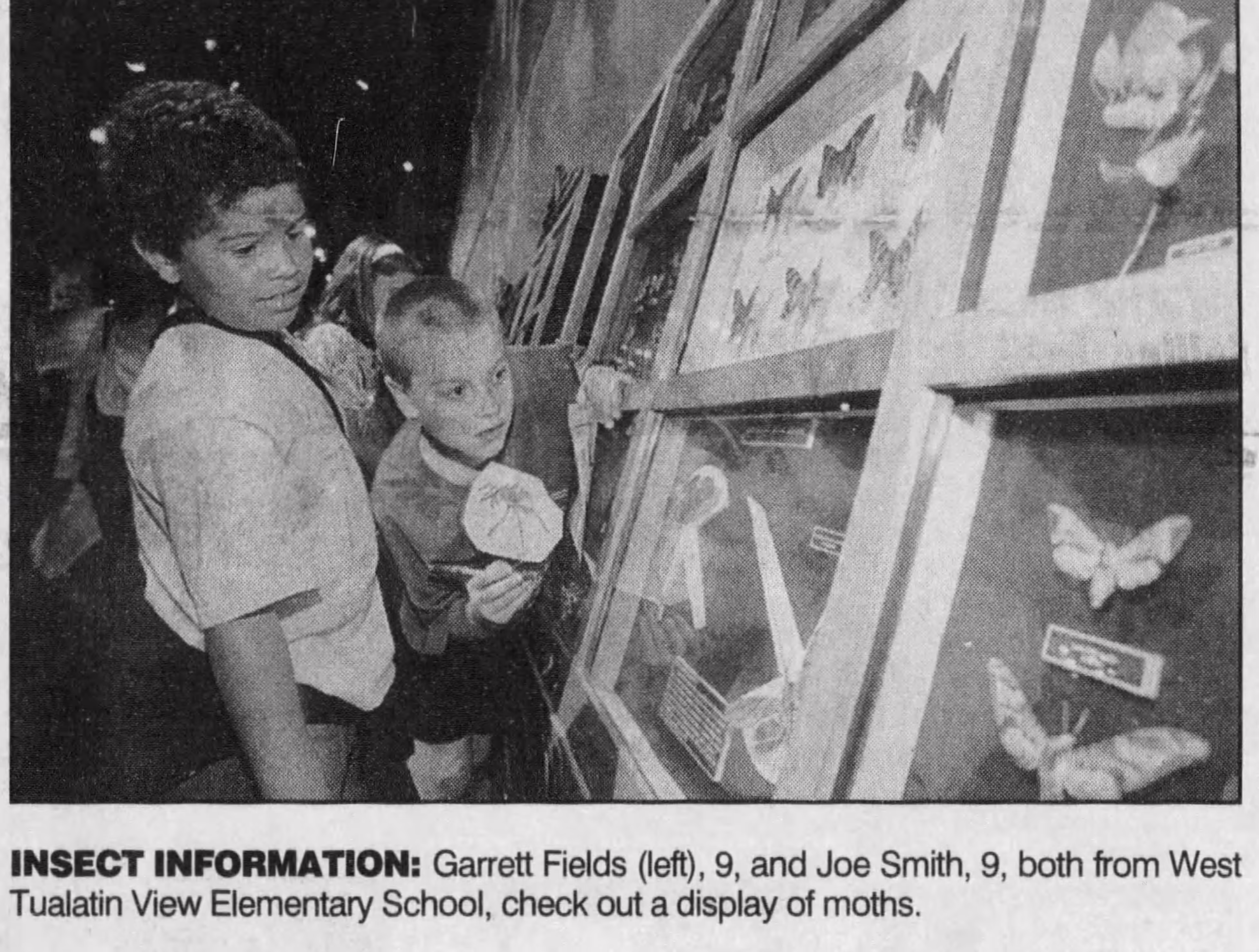 A wall of moths in the exhibit https://www.newspapers.com/article/statesman-journal-bug/141525555/