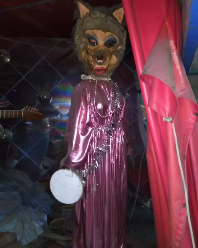 Animal Band show in storage (2023)