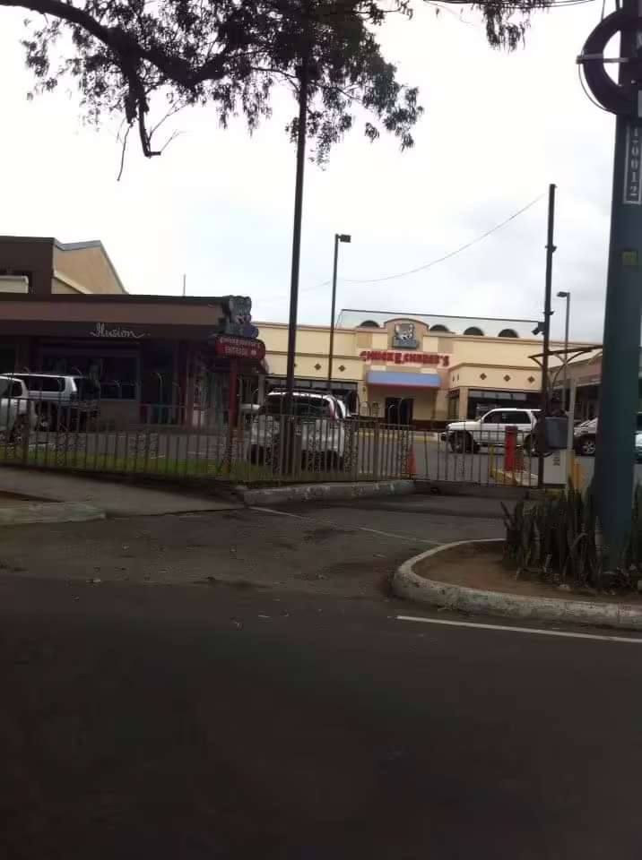 View of the building from the road