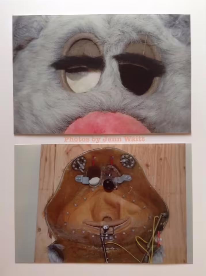 Eye Closeup + Internals (2012)