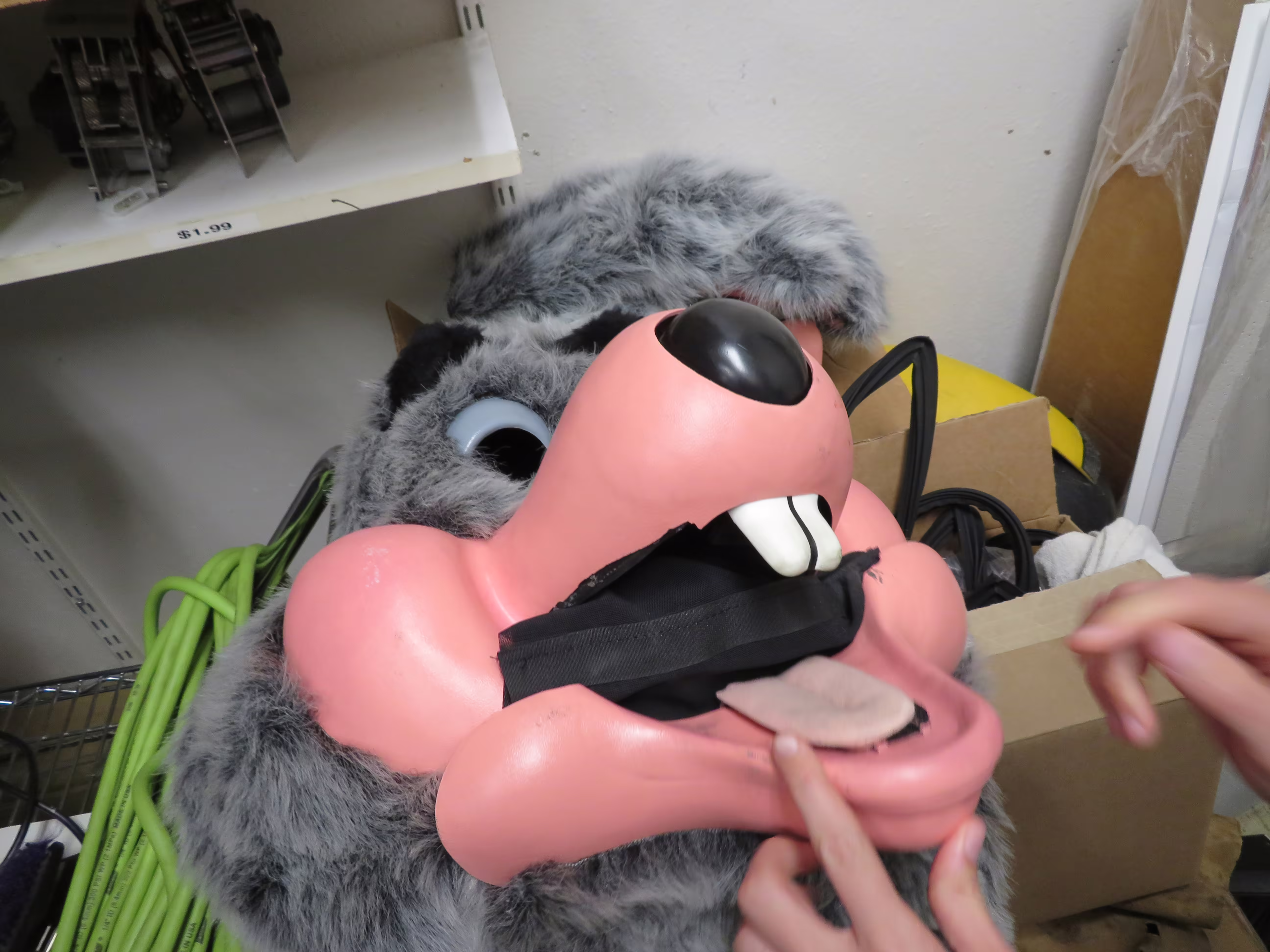 Spare Chuck Mask (September 22, 2019)