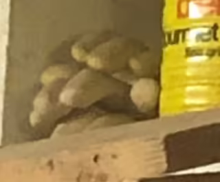 Generic Statue Hands