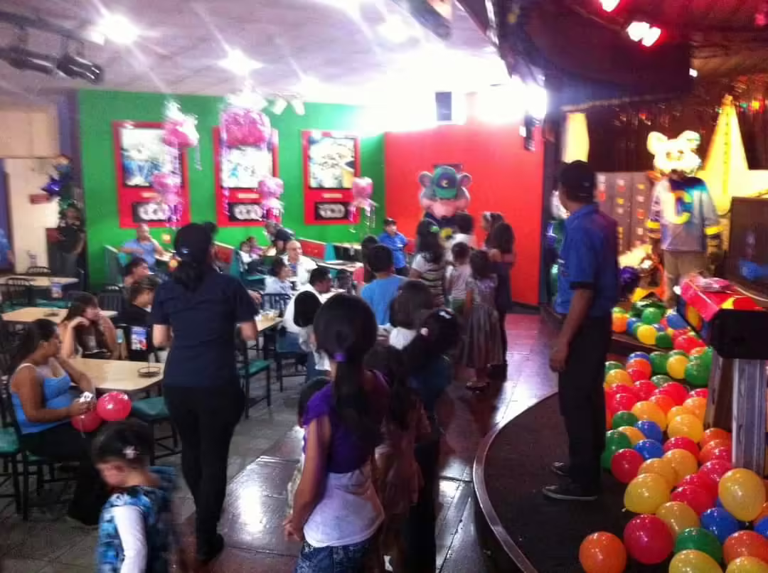 Green and red walls seen in the showroom (2013)