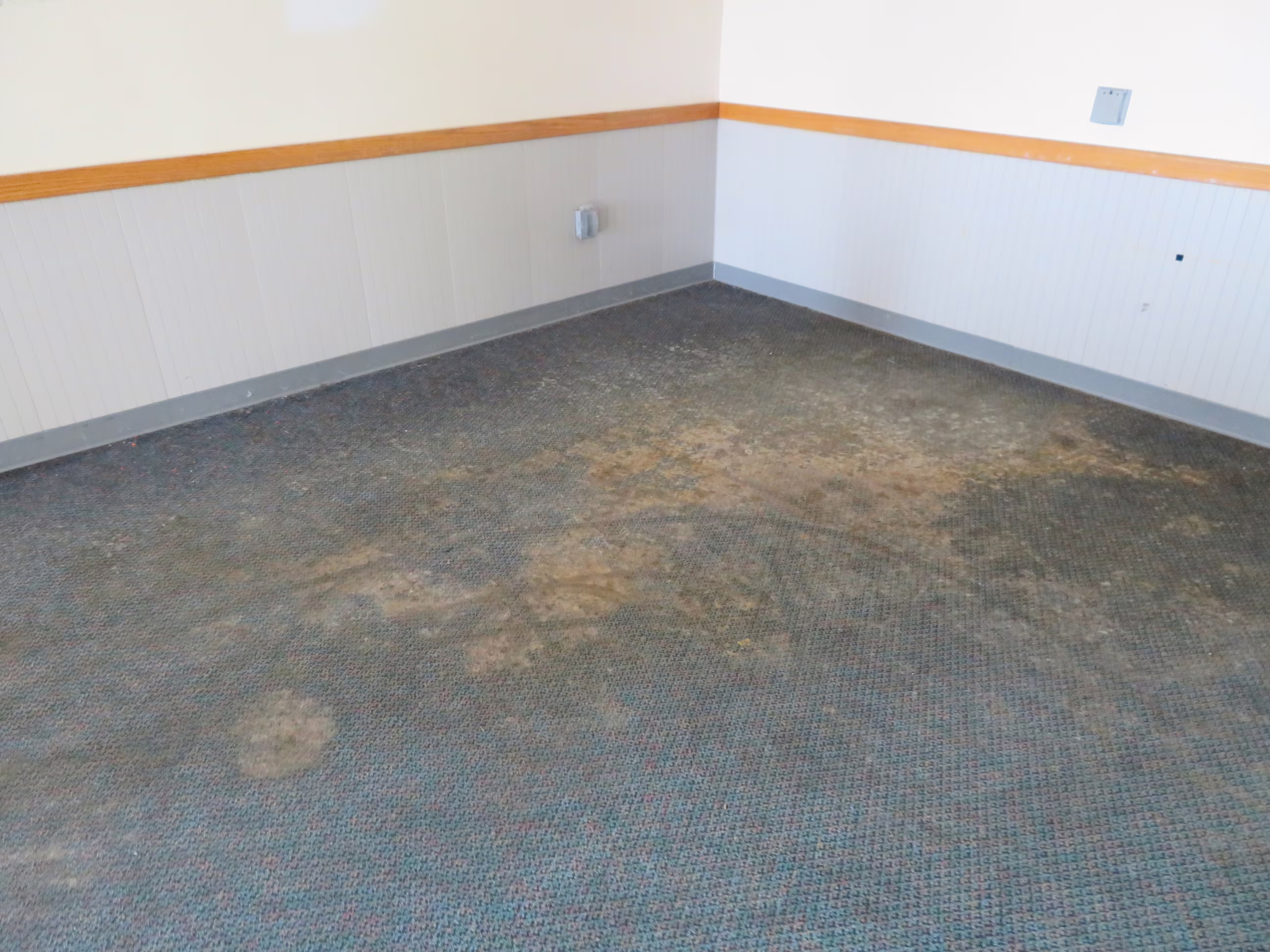 Water damaged carpet near former Kid Check area.