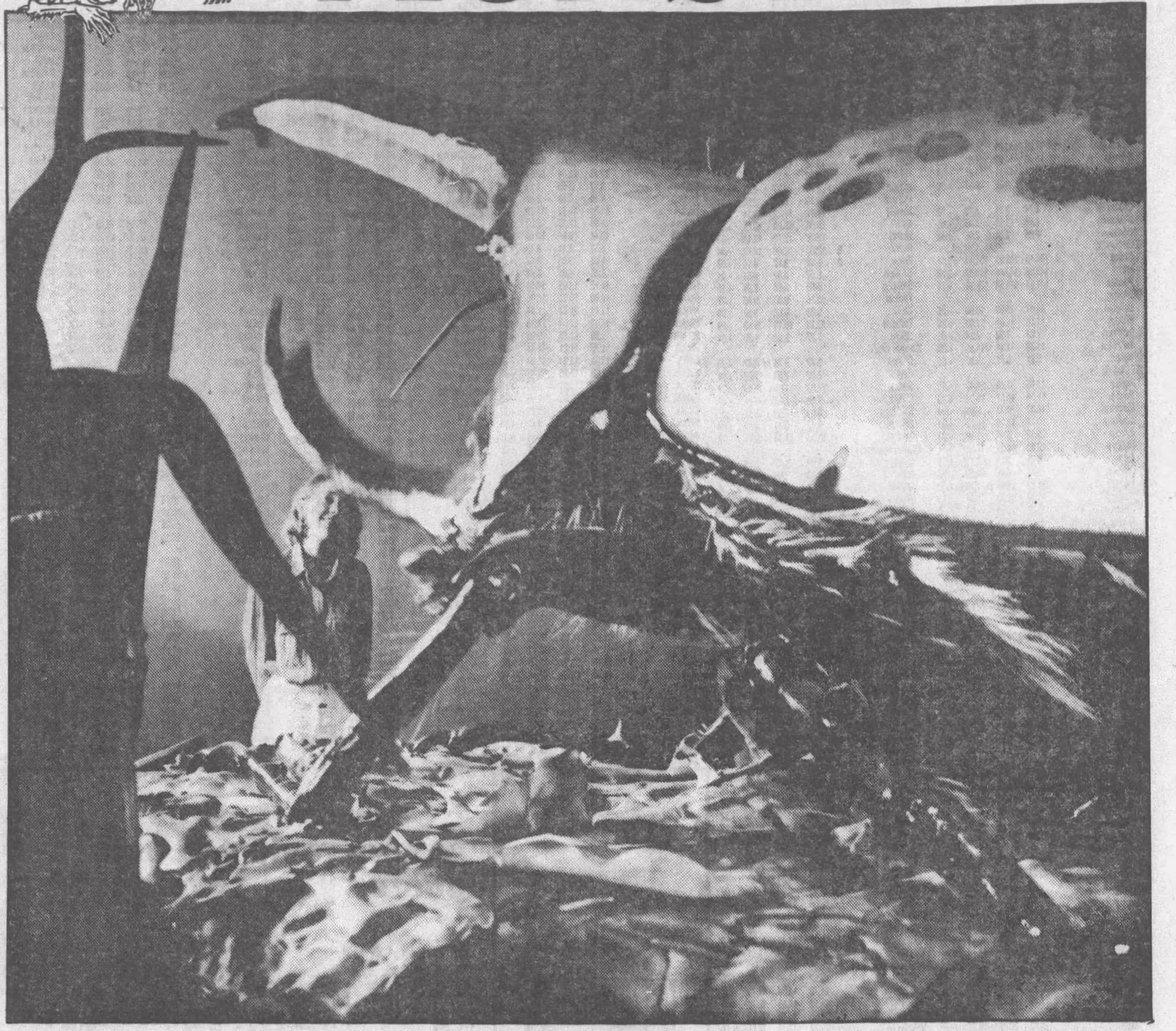 Giant unicorn beetle animatronic https://www.newspapers.com/article/the-sheboygan-press-cpi-bugs/141523751/