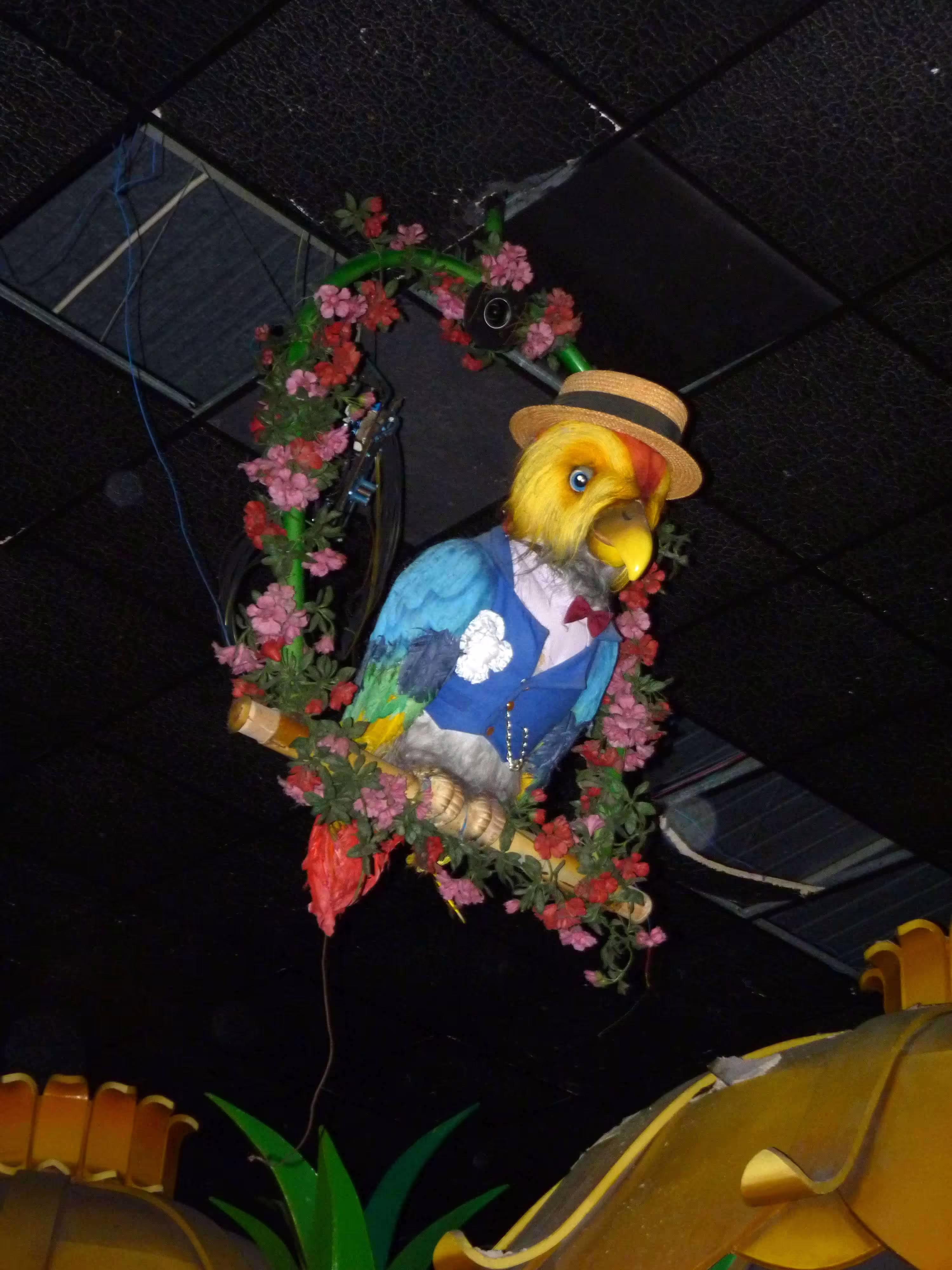 Edenlandia Red Parrot (Post-Closure)