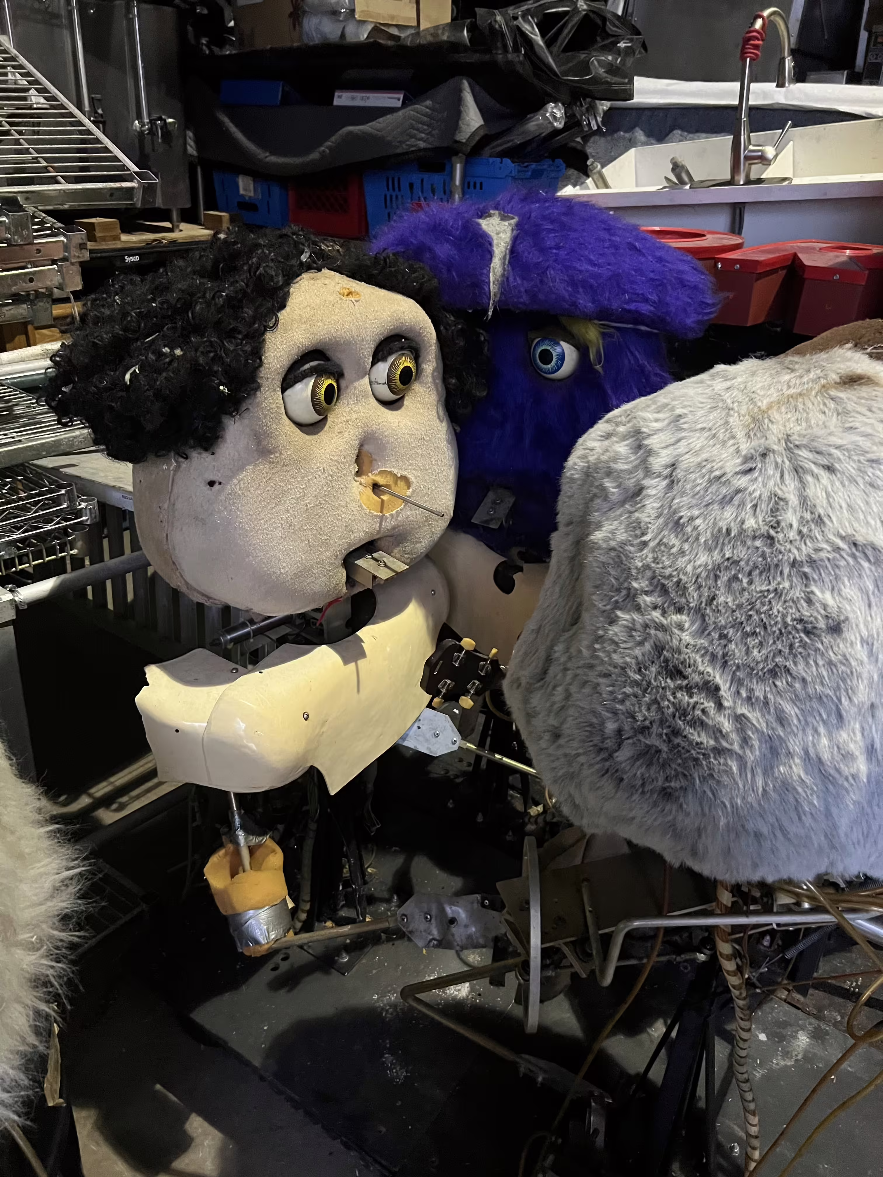 Animatronics (January 13, 2024)