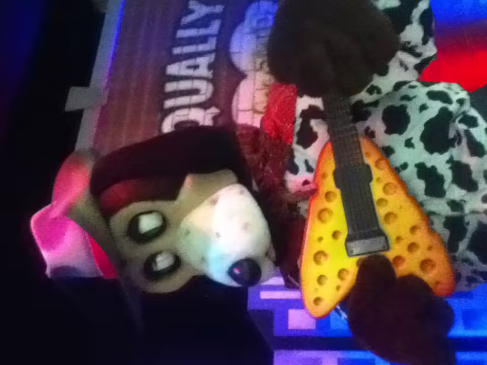 Natick Jasper Animatronic 11/5/2016