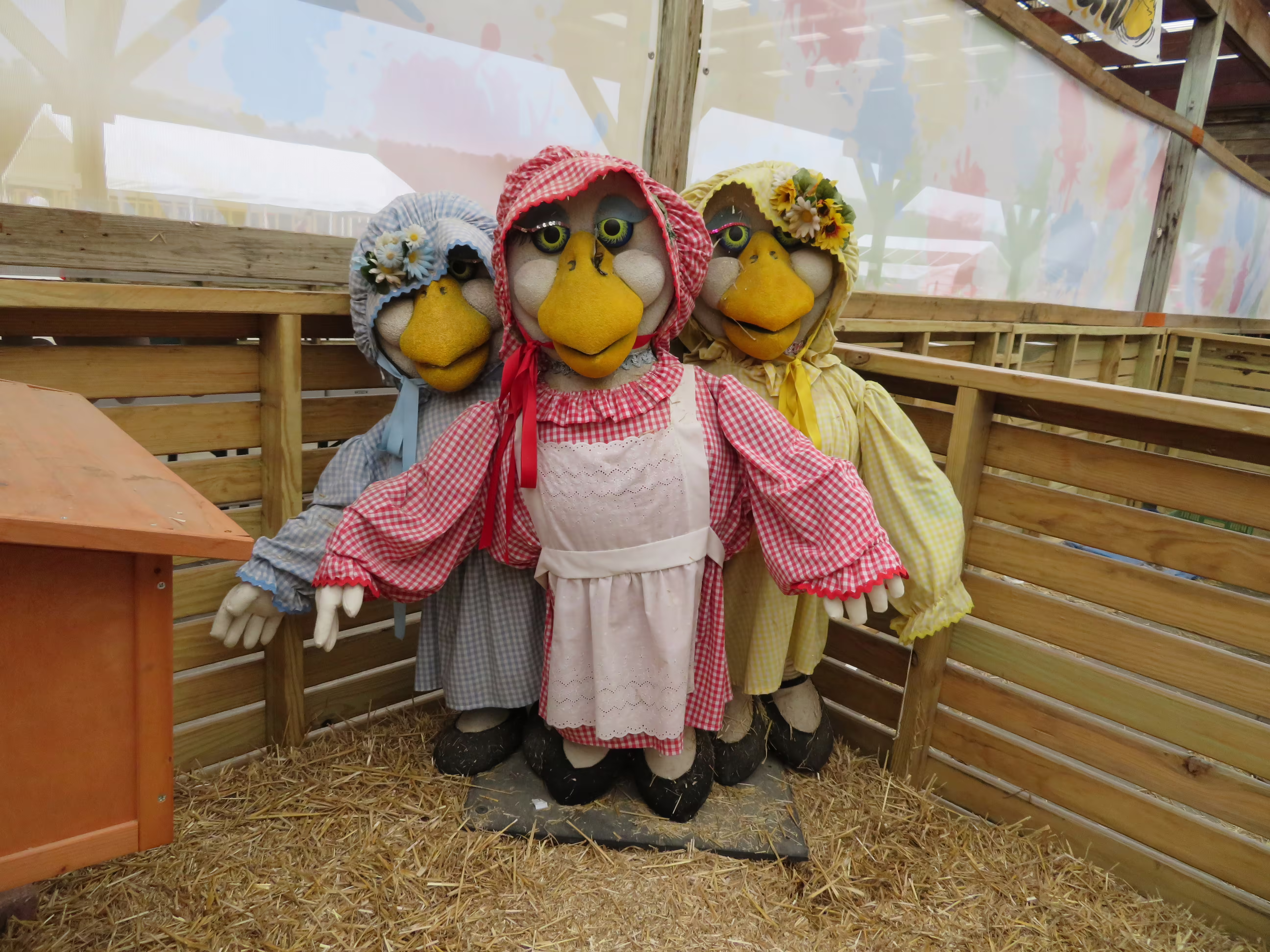 The Pumpkin Festival Warblettes Retrofit.