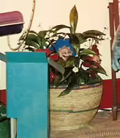 The flowers as seen on the CU Prototype Stage.