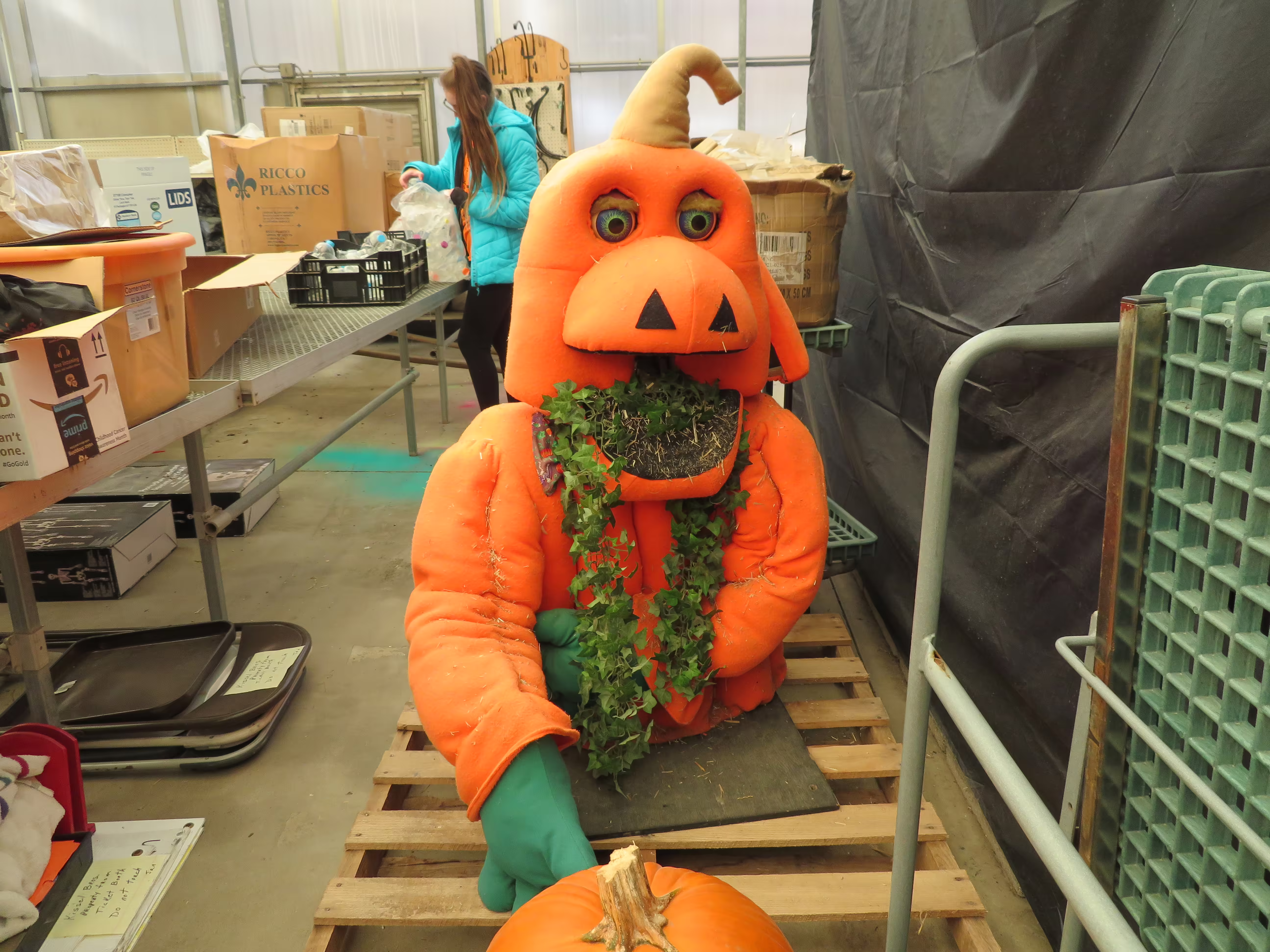 Full body shot (2018)