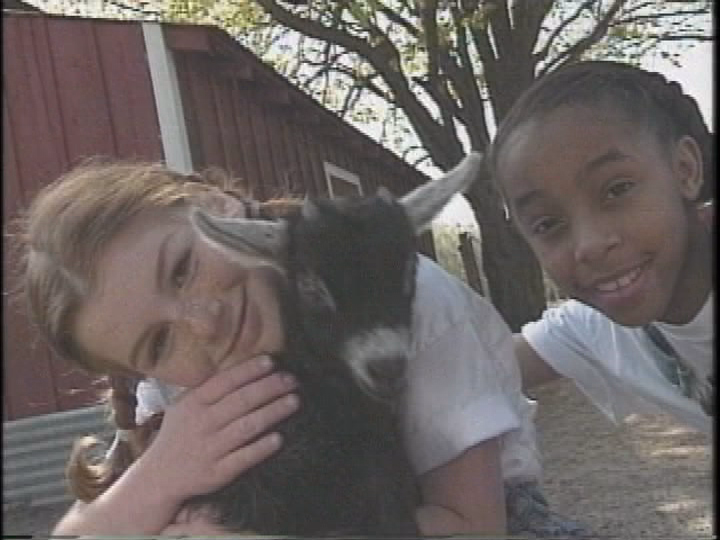 Screenshot of "Old MacDonald" live show