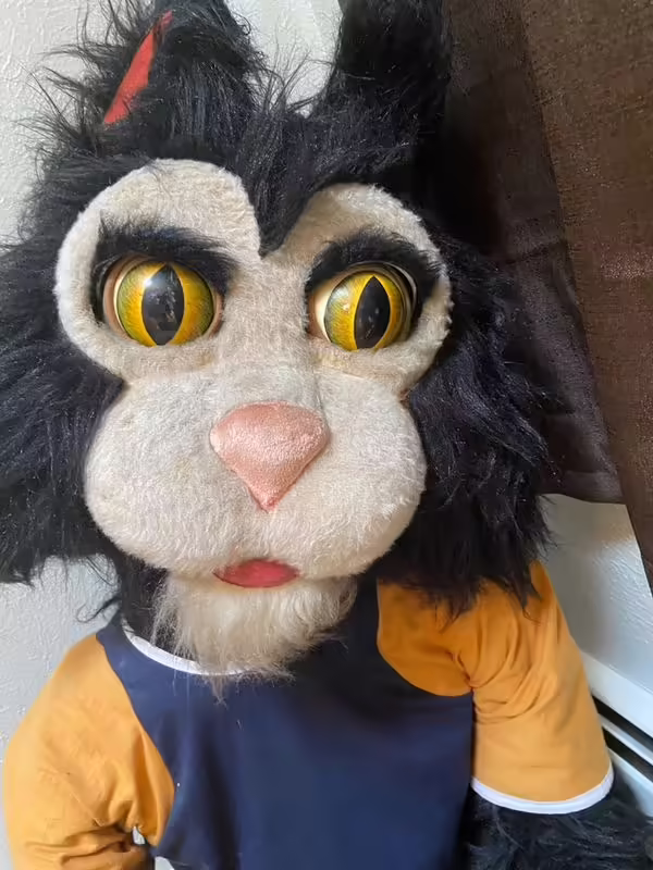 Crusty close up, 2022