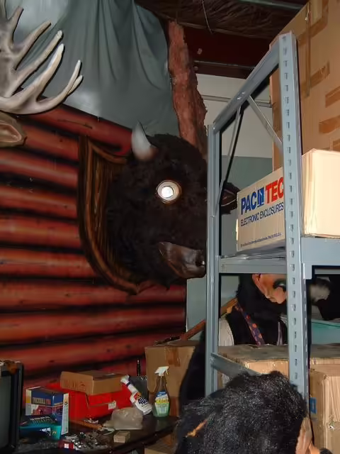 Buford & Waldo (2005)