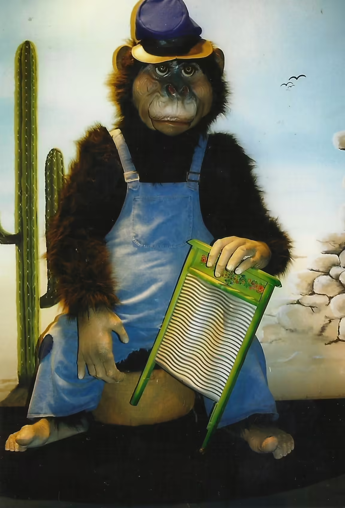Hellendoorn Western Monkey on Washboard