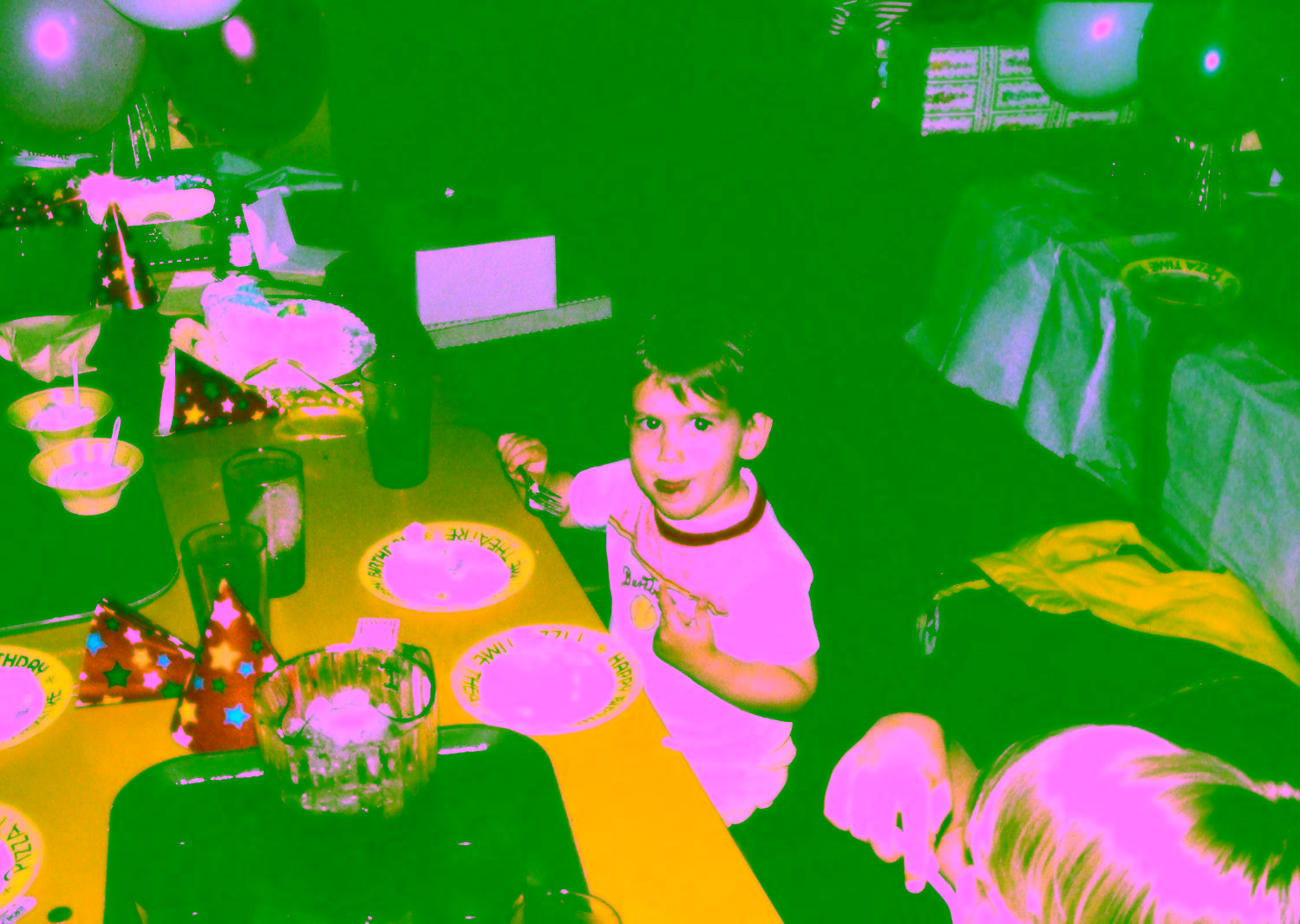 Cirtus Heights Birthday Party