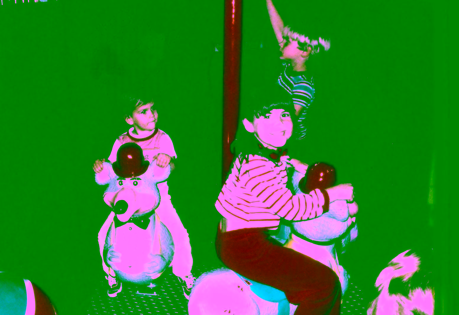 Birthday Party at Citrus Heights