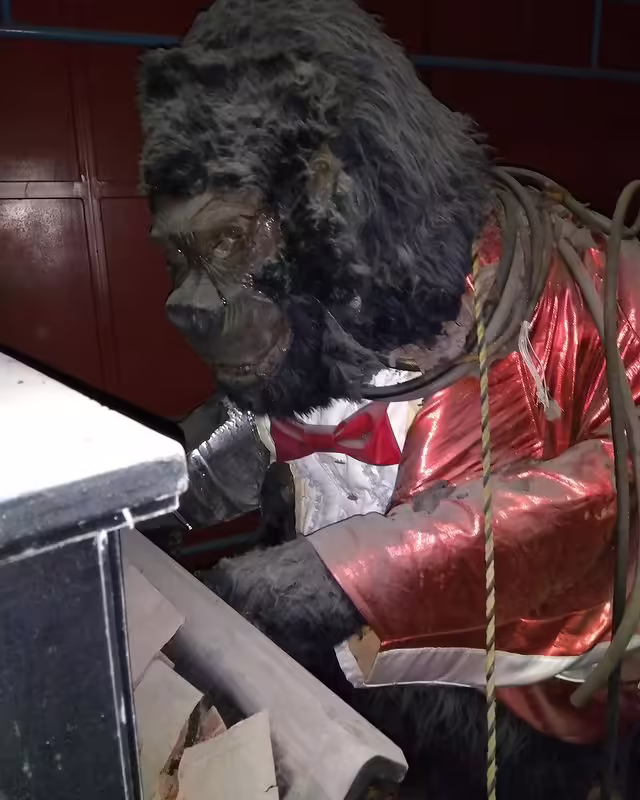 Animal Band show in storage (2023)