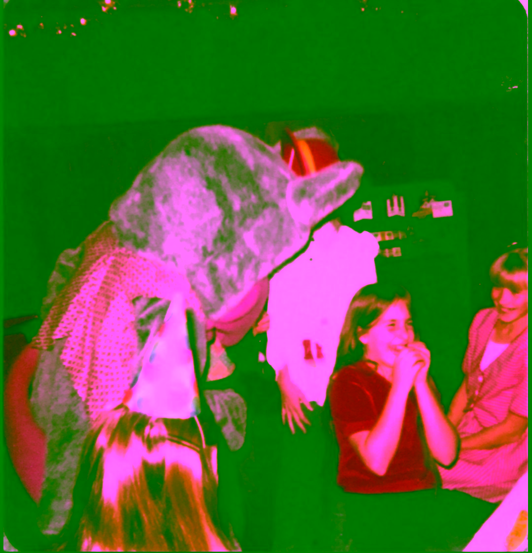 Stockton Birthday Party