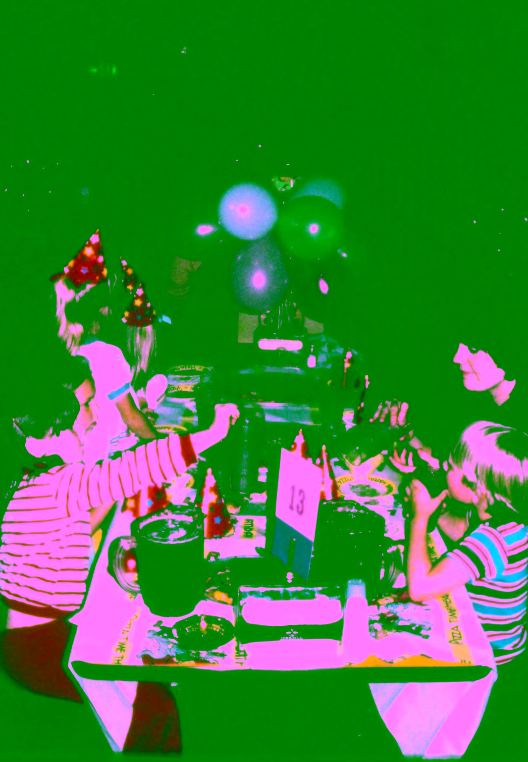 Birthday Party at Citrus Heights