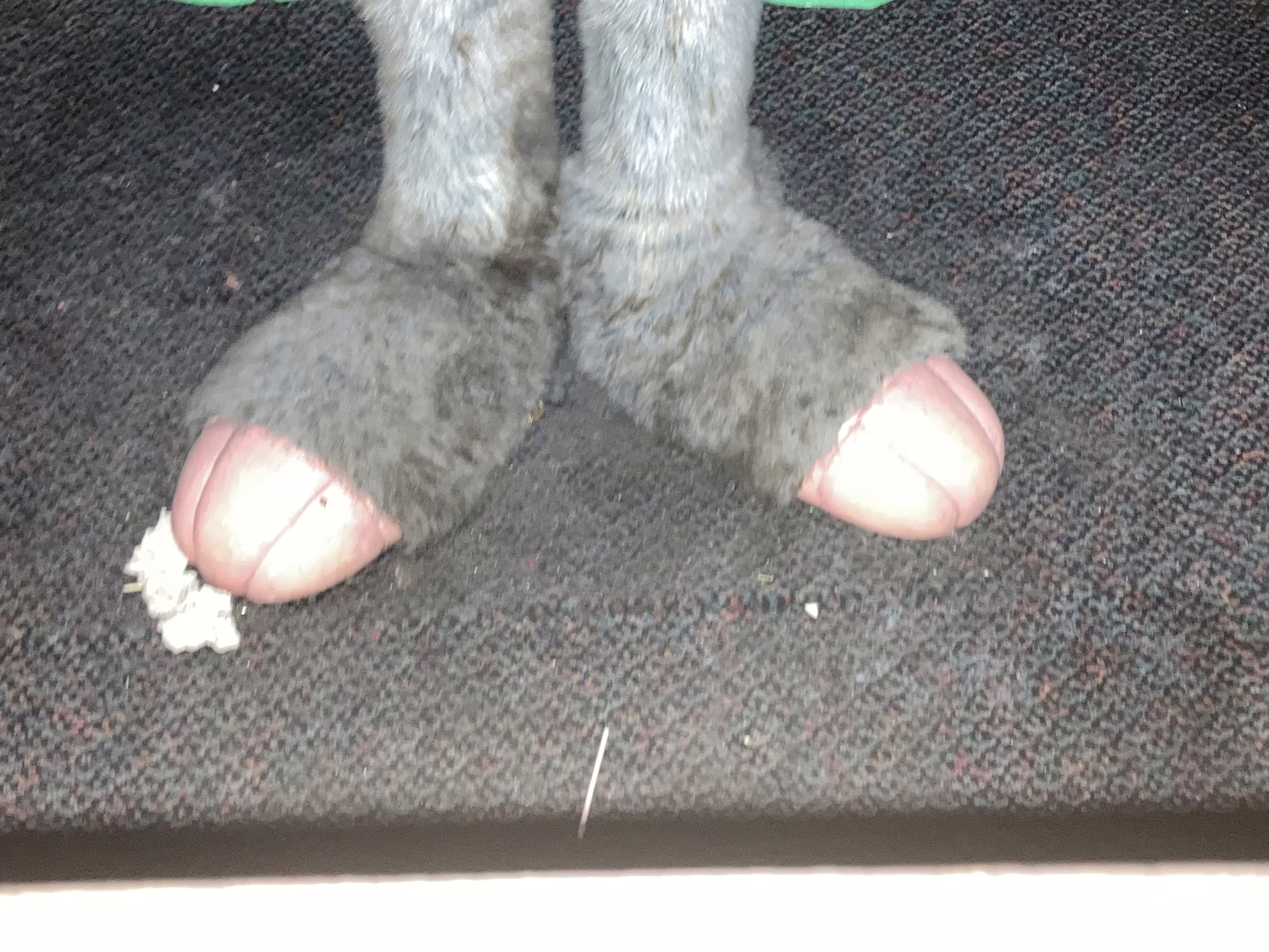 Inside the desk 9/15/2022