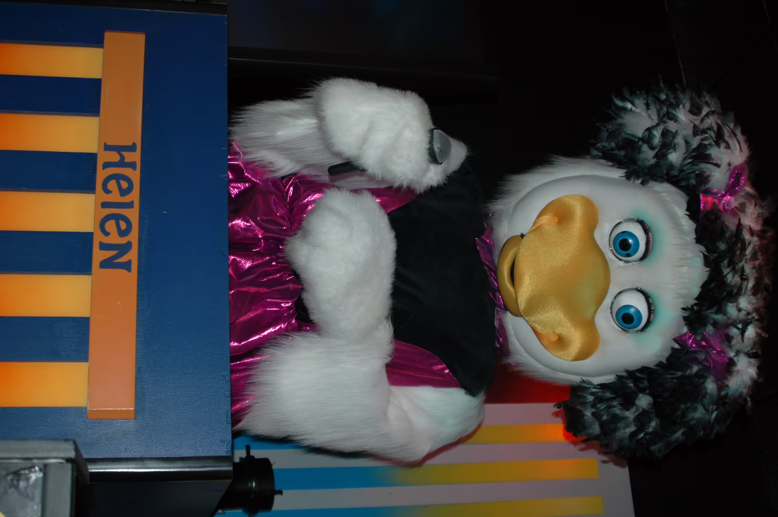 Wichita Helen Cyberamic (June 2013)