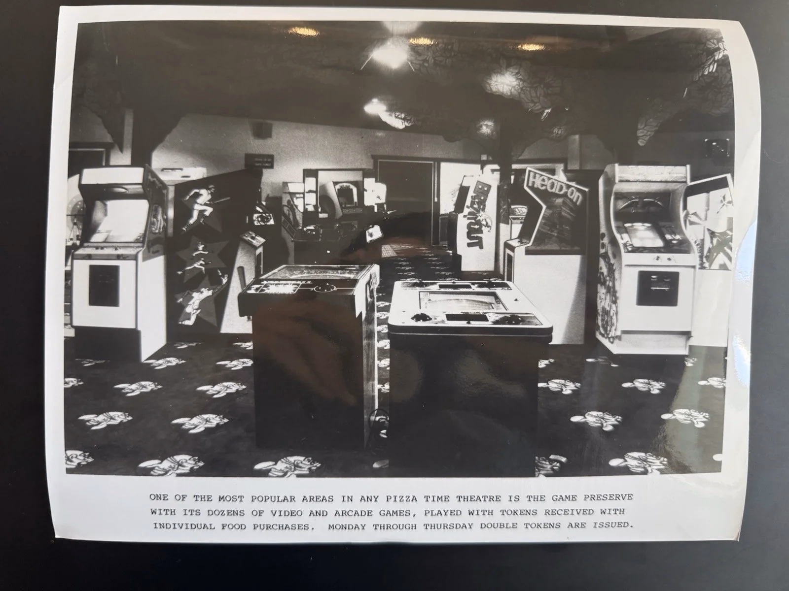 Promotional photo of the Fantasy Forest Game Preserve.