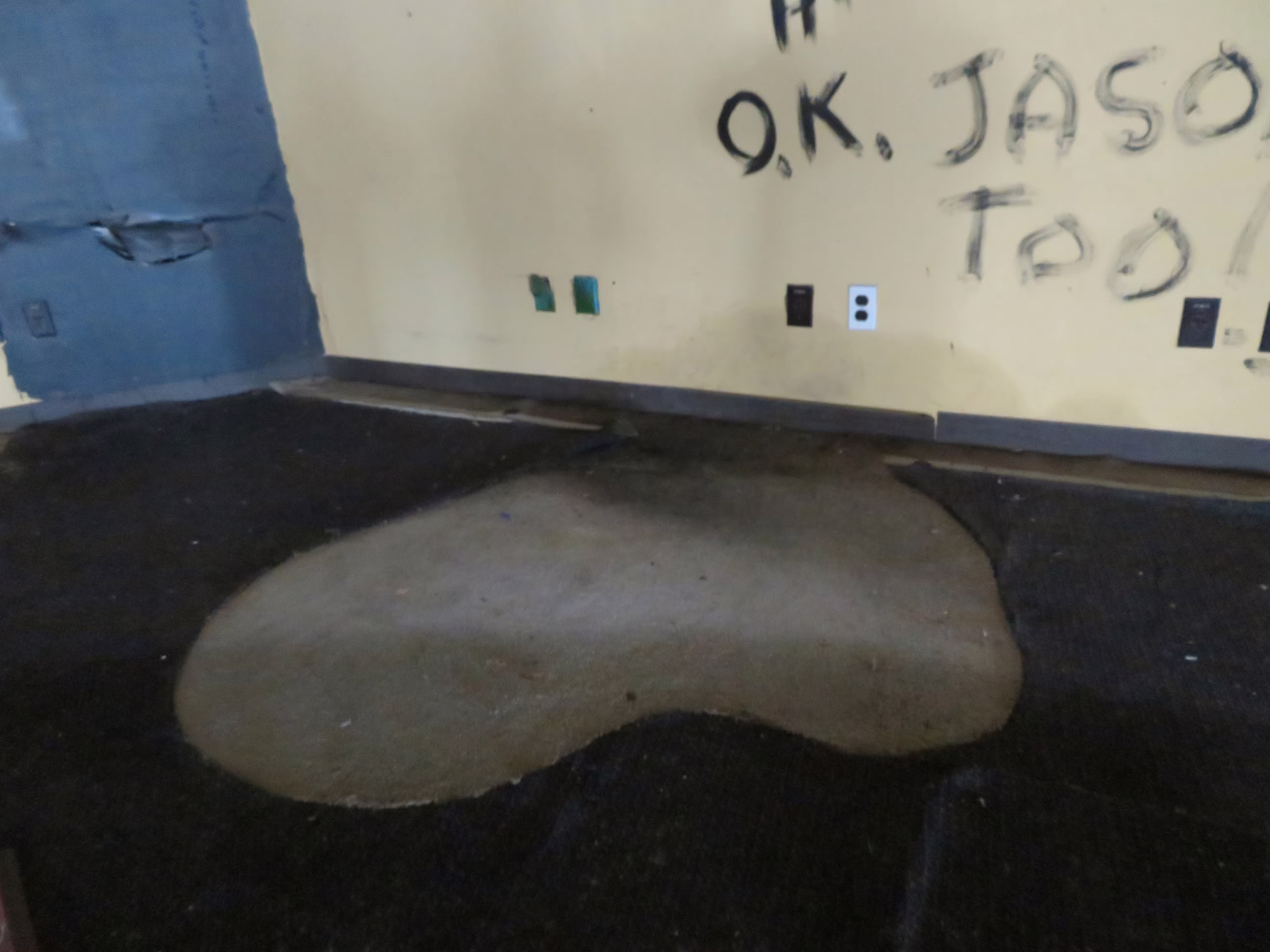 Outline of Pasquallys platform (October 2023)