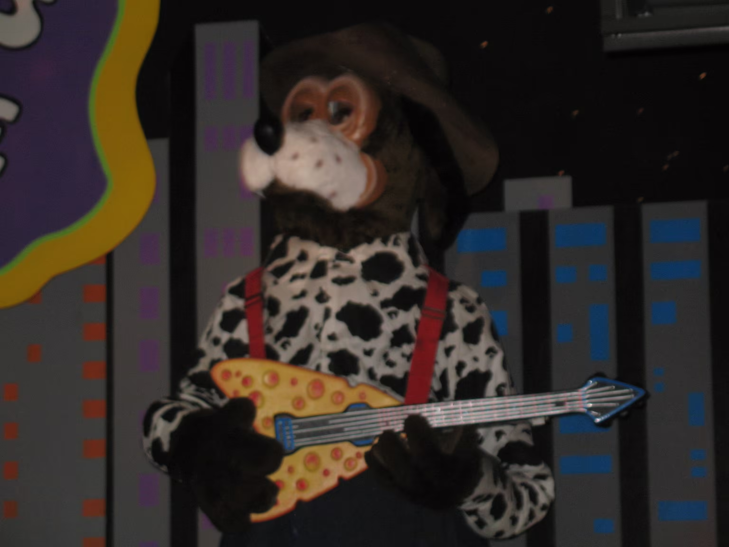 Jasper sporting a new mask (Spring 2007)