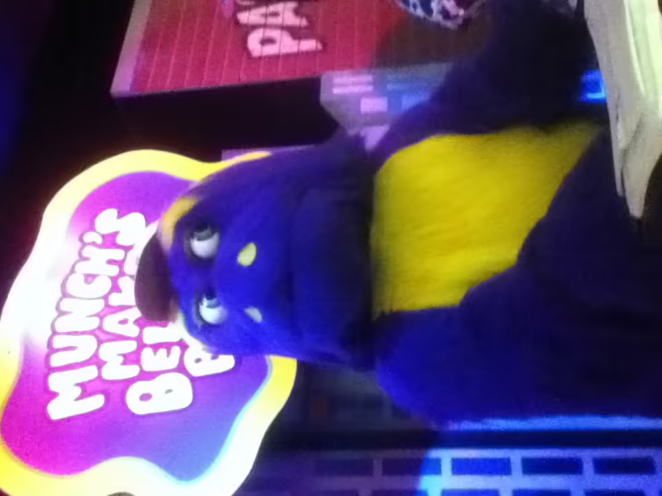 Mr. Munch Animatronic 11/5/2016